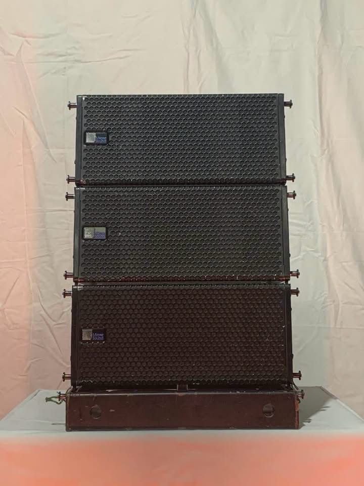 Meyer Sound MINA Ultra-Compact Line Array Package (Used)